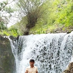 ����, �������, 46 ���