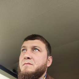 , 37, 