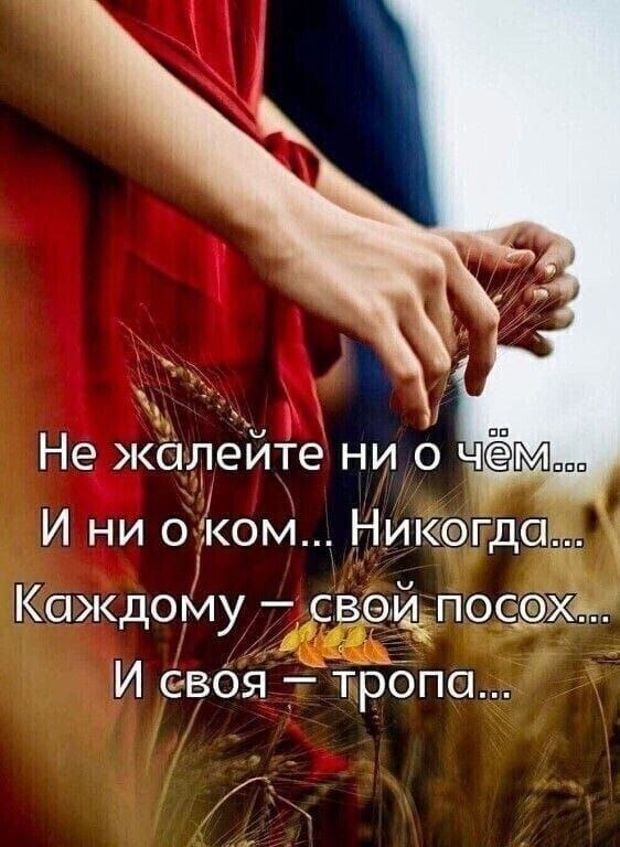  - 26  2025  19:09