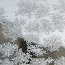 ���� ������, ������, 51 ��� - ��������� 3 ���� 2026