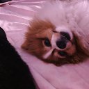 ���� ����, ���, 53 ���� - ��������� 14 ������� 2026 � ������ ���� ����������