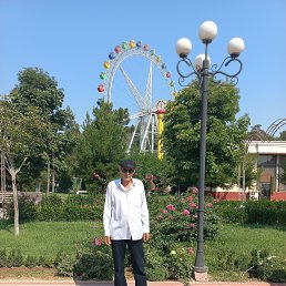, 62, 