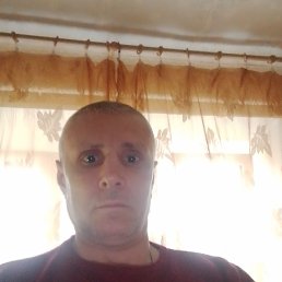 ������ �������, 46 ���, ����������