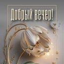 ���� �����, ������ - ��������� 25 ������ 2026 � ������ ������ ��������