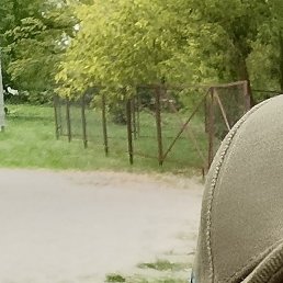 ������, �����, 48 ���