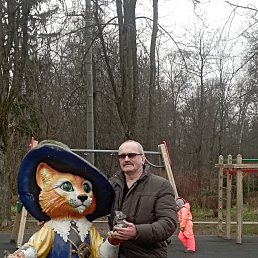 ������, 62 ����, ����