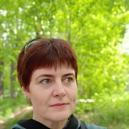 , 43, 