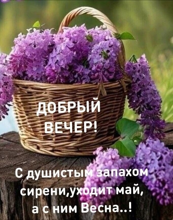   ,    . - 31  2025  16:47