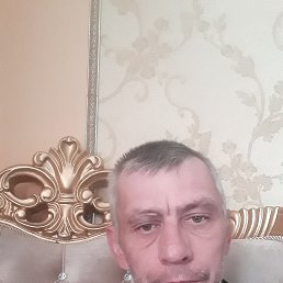 , 41, 