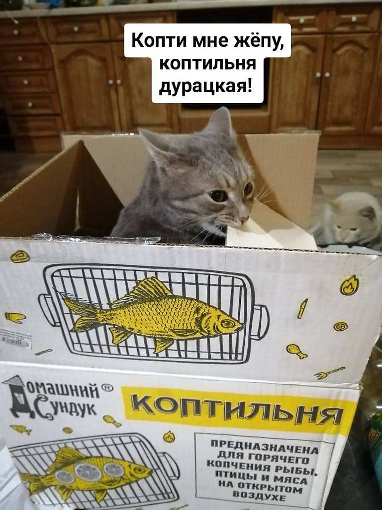   - 29  2024  22:34