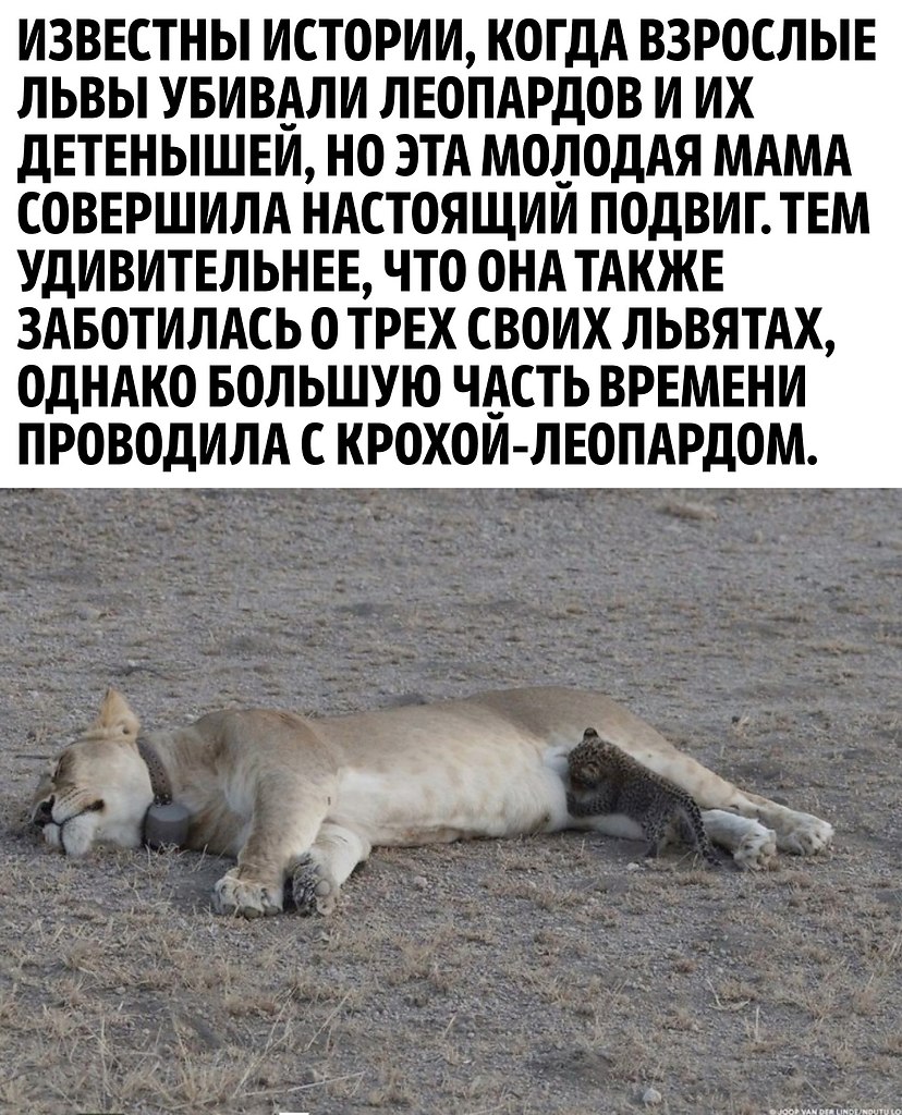       - 2