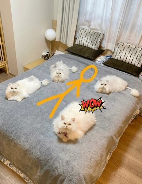 � ��� �������� �����)