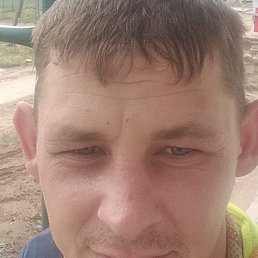 , 36, 