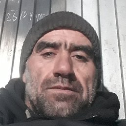 , , 46 