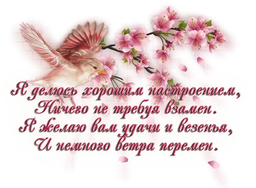  - 5  2025  22:00