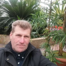 , 56 , 