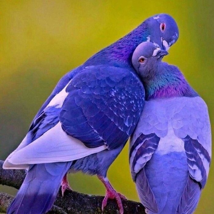 P.S.-       !  ... -  ! (     ! ... - 3