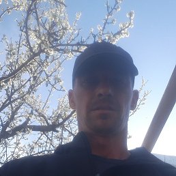 ������, �������-���������������, 37 ���