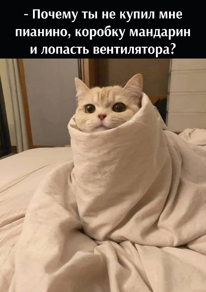  )