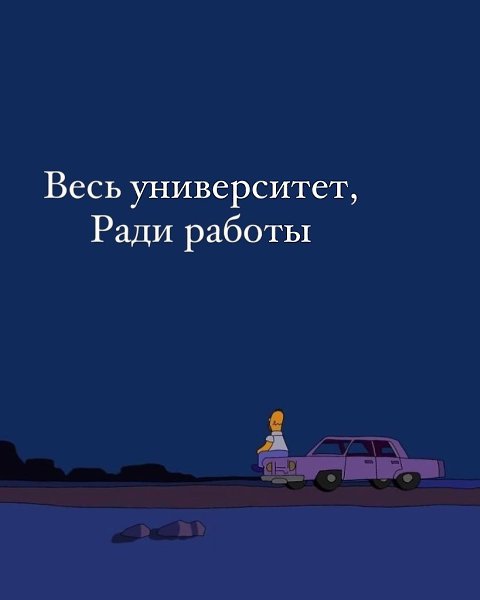 . - 29  2025  12:55 - 5