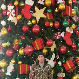 ���� Roman, ������, 40 ��� - ��������� 7 ������ 2024