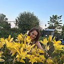 ���� �������, ����������, 40 ��� - ��������� 4 �������� 2025 � ������ ���� ����������