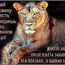 ���� ���������, �������-�������, 62 ���� - ��������� 14 ������� 2025 � ������ ���� ����������