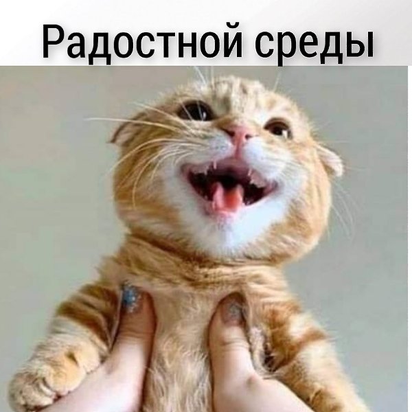 � ������ ��������� �������� ������ �������� ��������� ! . . . - 3