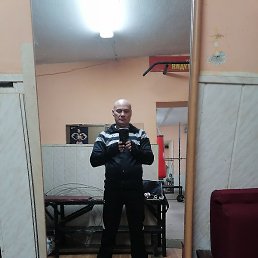 ,  , 43 