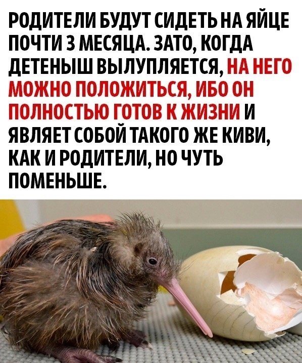     - 3