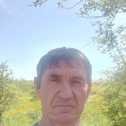 , 54, 