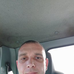 , 41, 