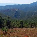  , -, 45  -  16  2024    