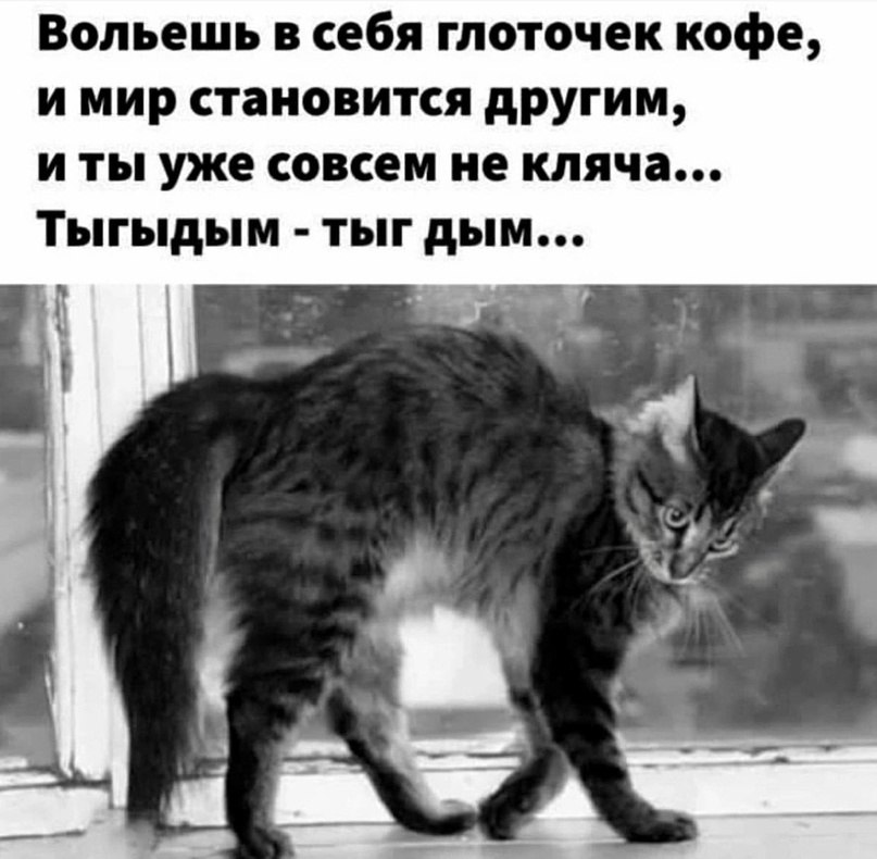  - 5  2024  09:36