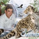 ���� ���������, �����, 67 ��� - ��������� 8 ������ 2023 � ������ ���� ����������