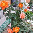 ���� �����, ������, 62 ���� - ��������� 18 ������ 2025 � ������ ���� ����������