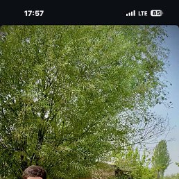 Sharof, 18, 