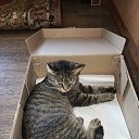 ���� *****˸��*****, ��������, 44 ���� - ��������� 24 ������ 2025 � ������ ������ ��������