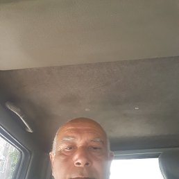 , 53, 