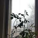 ���� ����, ����, 31 ��� - ��������� 21 ������ 2025 � ������ ������ ���������� ����ۻ
