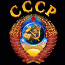 ���� �������, ������, 44 ���� - ��������� 31 ��� 2024