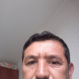 , 50, -