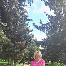 ������, �����, 61 ���