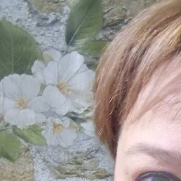 ������, ����, 49 ���