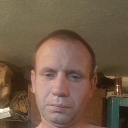 , 41, 
