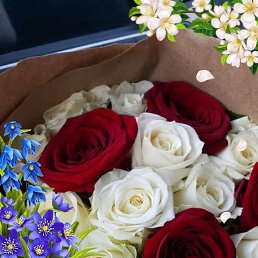 �������, ������, 59 ���