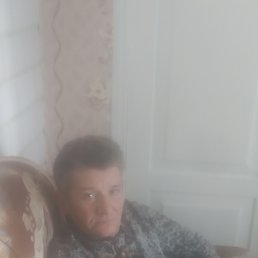 , 56, 