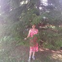 ���� �������, ����������� - ��������� 30 ���� 2026 � ������ ���� ����������