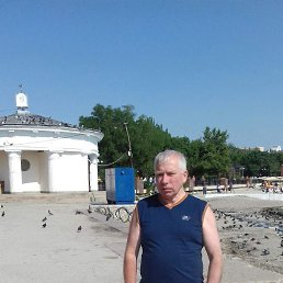 , 65, 