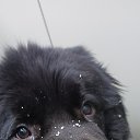 ���� ���������, ��������������, 41 ��� - ��������� 5 ������� 2024 � ������ ���� ����������